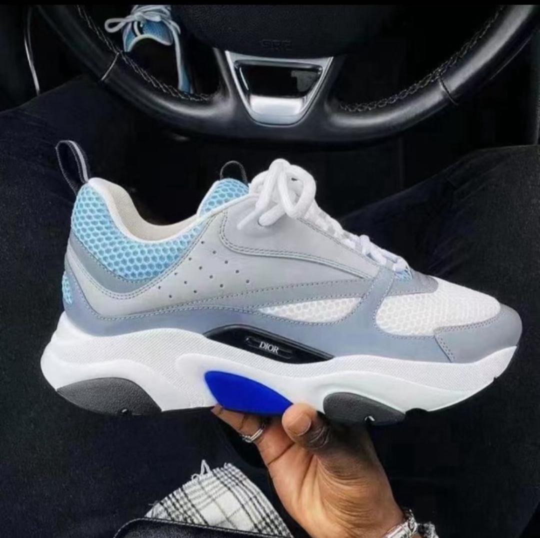 DIOR B22